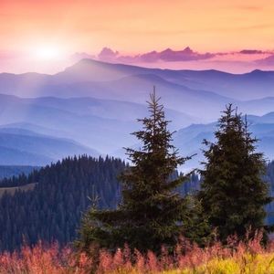 Meet your Posher, Emma grace